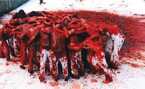 Risultati immagini per hermann nitsch opere